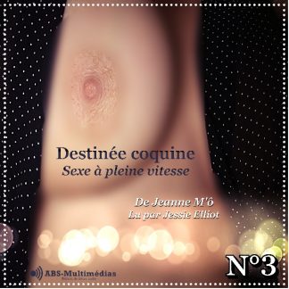 Livre audio Destinée coquine 3 – Sexe à pleine vitesse