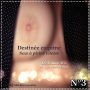 Livre audio Destinée coquine 3 – Sexe à pleine vitesse