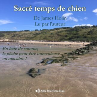 Couverture Livre audio Sacré temps de chien